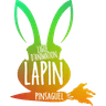 Logo LAPIN